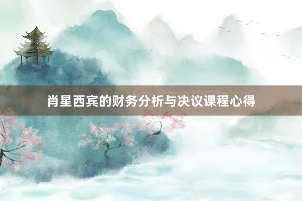 肖星西宾的财务分析与决议课程心得