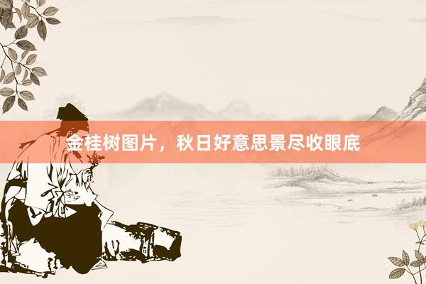 金桂树图片，秋日好意思景尽收眼底