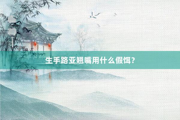 生手路亚翘嘴用什么假饵？