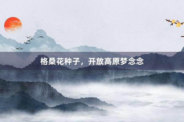 格桑花种子，开放高原梦念念