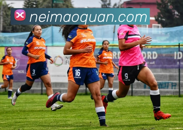 新云顶官方网站品牌故事